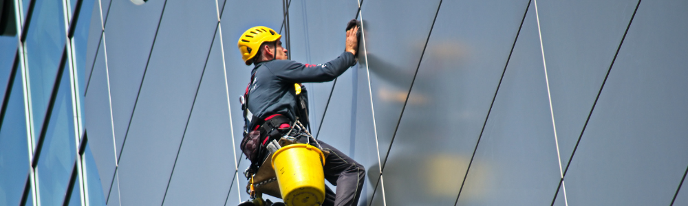 Setor de Serviços em Maio: Estabilidade e Desafios à Vista
